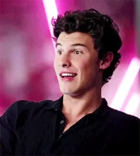 🌟 emoji Shawn Mendes Telegram sticker 20 of 46