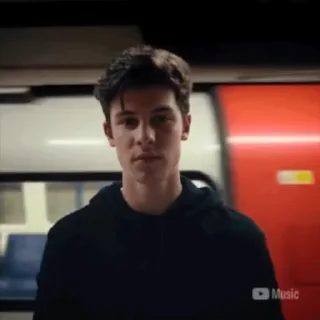 🌟 emoji Shawn Mendes Telegram sticker 21 of 46