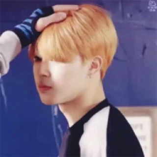 🌸 emoji jimin-ssi @impureza Telegram sticker 24 of 50