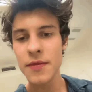 Sticker from Shawn mendes @canadznfry