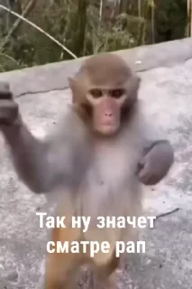 🌟 emoji бунт блуда Telegram sticker 5 of 19
