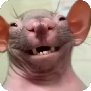 😂 emoji aleatório Telegram sticker 14 of 17