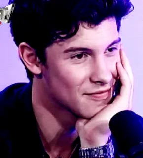 🌟 emoji Shawn Mendes Telegram sticker 10 of 46