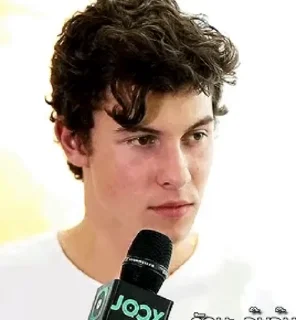 🌟 emoji Shawn Mendes Telegram sticker 6 of 46