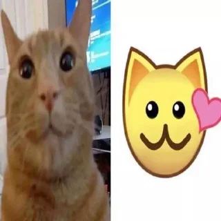 🌟 emoji wacler Telegram sticker 7 of 41