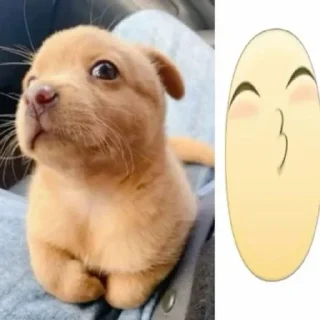 🌟 emoji wacler Telegram sticker 14 of 41