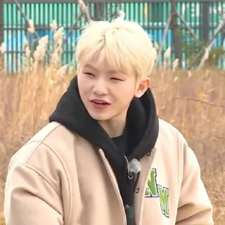 🚖 emoji @STIKERSVT : Woozi GOSE EP.38 & EP.39 Infinite GOING #1 & 2 Telegram sticker 13 of 60