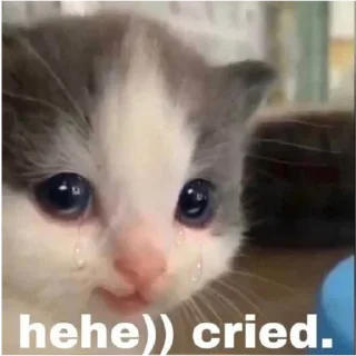 🤍 emoji жизненные стики для милы Telegram sticker 17 of 99