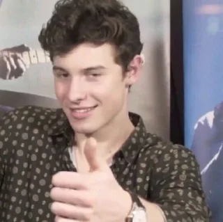 👍 emoji Shawn Mendes reacts Telegram sticker 5 of 98