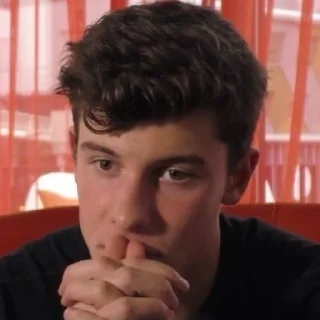 😐 emoji Shawn Mendes reacts Telegram sticker 2 of 98