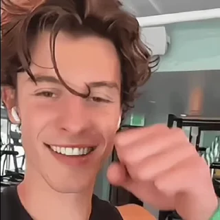 🦜 emoji Shawn Mendes by @aratickers Telegram sticker 10 of 28