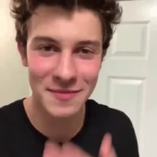 Sticker from Shawn mendes @canadznfry