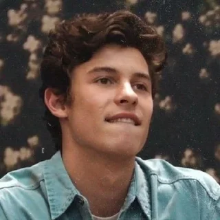 😏 emoji Shawn Mendes reacts Telegram sticker 4 of 98