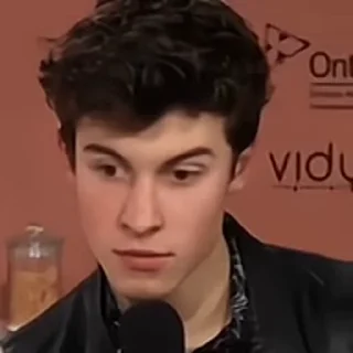 🦜 emoji Shawn Mendes by @aratickers Telegram sticker 8 of 28