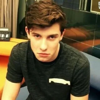😡 emoji Shawn Mendes reacts Telegram sticker 20 of 98
