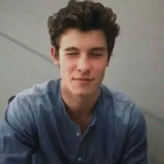 😑 emoji Shawn Mendes reacts Telegram sticker 16 of 98