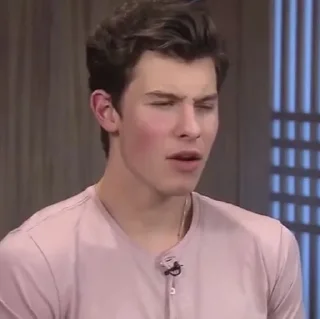 😩 emoji Shawn Mendes reacts Telegram sticker 18 of 98