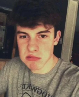 😠 emoji Shawn Mendes reacts Telegram sticker 17 of 98