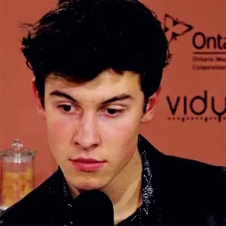 Sticker from Shawn Mendes