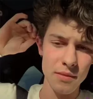 🧐 emoji Shawn Mendes Telegram sticker 8 of 53