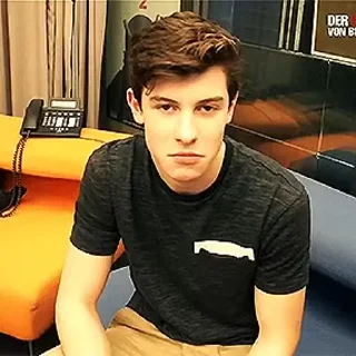 😔 emoji Shawn Mendes Telegram sticker 11 of 53