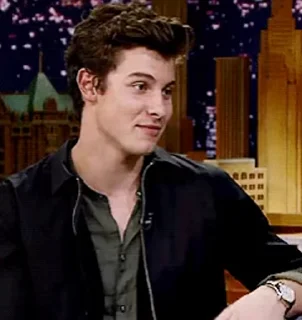 🤷‍♂ emoji Shawn Mendes Telegram sticker 6 of 53