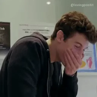 Sticker from Shawn Mendes