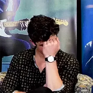 Sticker from Shawn Mendes
