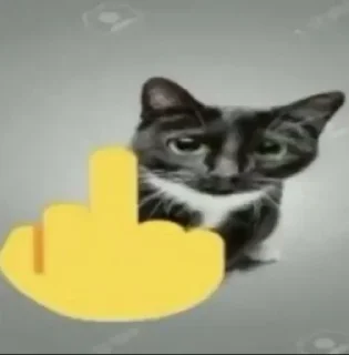 🖕 emoji Curifeos Corp Telegram sticker 7 of 120