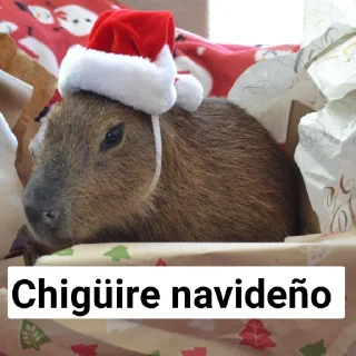 🎅 emoji Epa Telegram sticker 24 of 37