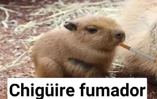 🚬 emoji Epa Telegram sticker 21 of 37