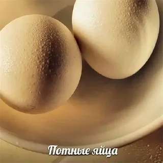 🥚 emoji ништяк))) Telegram sticker 20 of 117