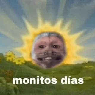 🌟 emoji MonitosIGC2 Telegram sticker 13 of 120