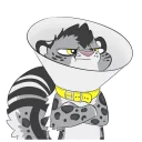 🤕 emoji The adventures of @OKDoogl Telegram sticker 24 of 33