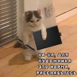 🤍 emoji жизненные стики для милы Telegram sticker 18 of 99