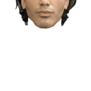 🇺🇸 emoji Heads Telegram sticker 8 of 18