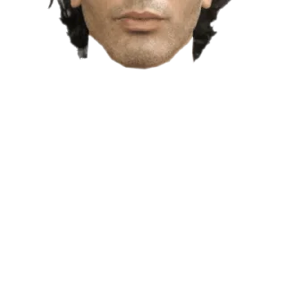 🇺🇸 emoji Heads Telegram sticker 16 of 18