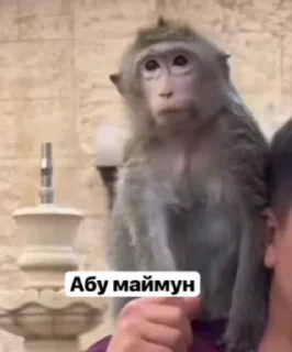 Sticker from бунт блуда