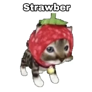 🤍 emoji жизненные стики для милы Telegram sticker 14 of 99
