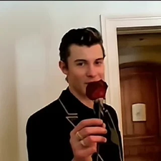 🦜 emoji Shawn Mendes by @aratickers Telegram sticker 9 of 28