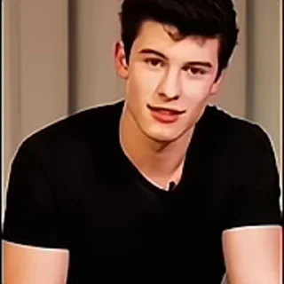 🦜 emoji Shawn Mendes by @aratickers Telegram sticker 2 of 28