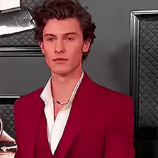 🦜 emoji Shawn Mendes by @aratickers Telegram sticker 14 of 28