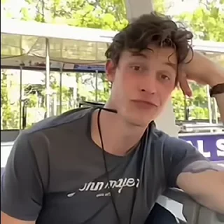 🦜 emoji Shawn Mendes by @aratickers Telegram sticker 7 of 28