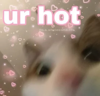 🤤 emoji @Le_Patrie (◍•ᴗ•◍) Telegram sticker 19 of 120