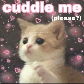🛏️ emoji @Le_Patrie (◍•ᴗ•◍) Telegram sticker 16 of 120