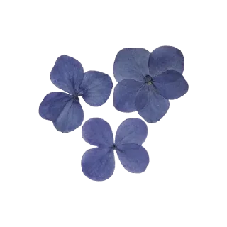 🎀 emoji @DivaStickers Diva Aesthetics 2 Telegram sticker 11 of 118