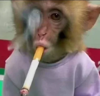 Sticker from Esquizo monkeys