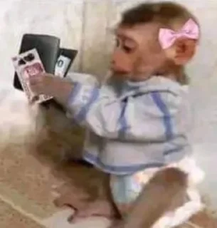 📗 emoji Esquizo monkeys Telegram sticker 17 of 46