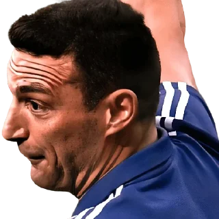 🥴 emoji Lionel Scaloni Telegram sticker 19 of 32