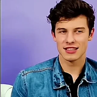 Sticker from Shawn Mendes by @aratickers
